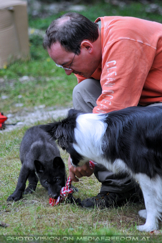 Wolf Science Center 15