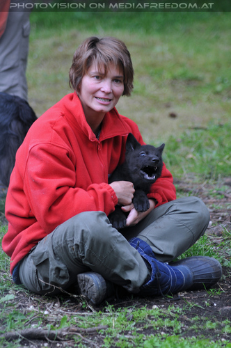 Wolf Science Center 17