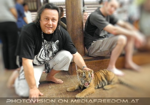 The B-Day of the Tigerman Pix 027