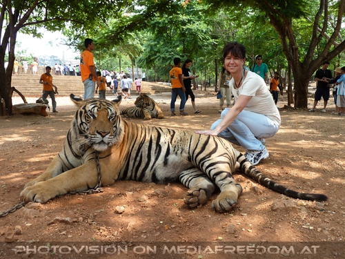 The B-Day of the Tigerman Pix 097: Eva D.