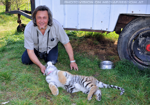 Im Tiger Baby Land 22