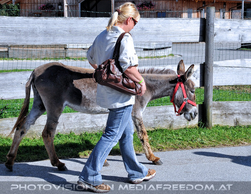 Ein Paradies f�r Tiere 67