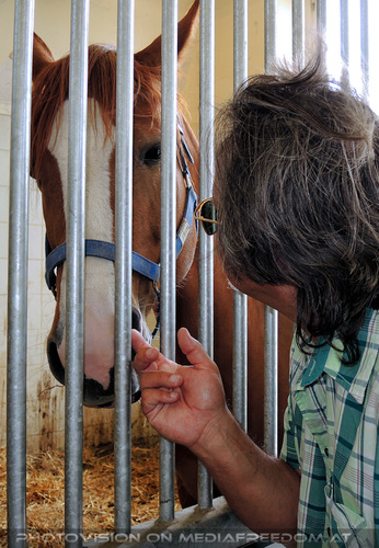 Rund um Mensch und Tier 06: Charly Swoboda