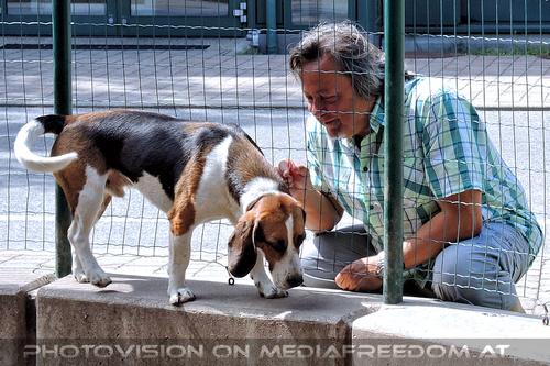 Rund um Mensch und Tier 29