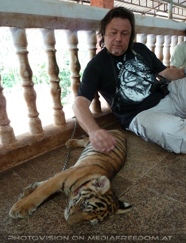 The B-Day of the Tigerman Pix 038