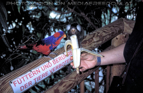 Besuch mit Sondergenehmigung 07: Gabriele P.