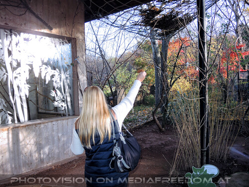 In der Voliere: Gabriele P.