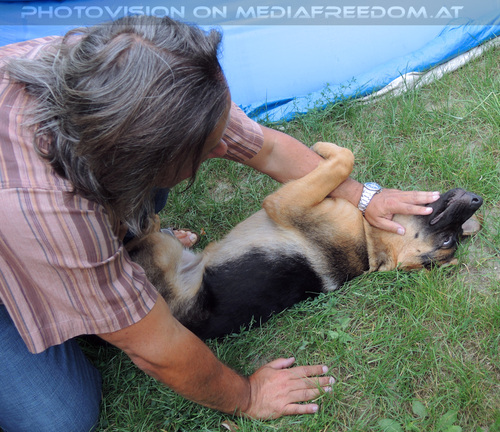 Hollie Love 04: Charly Swoboda