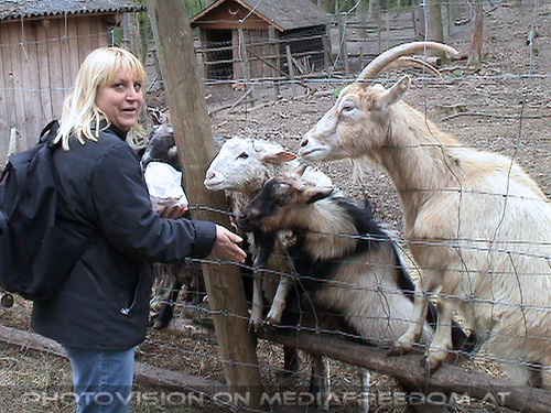 Den Tieren so nah 04