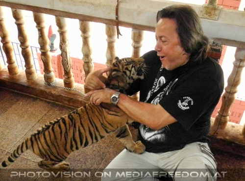 The B-Day of the Tigerman Pix 024