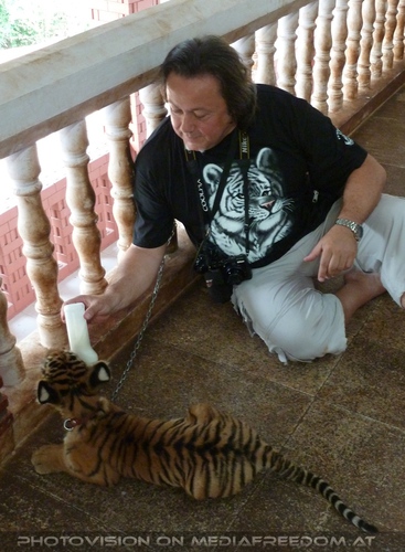 The B-Day of the Tigerman Pix 008