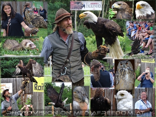 Greifv�gel hautnah erleben