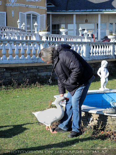 Schloss G�nse 07: Charly Swoboda