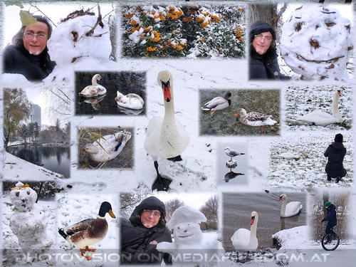 Manches schmilzt im Leben weg wie Schnee...