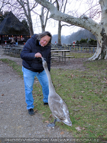 Kaiserliche Gartenlust 36