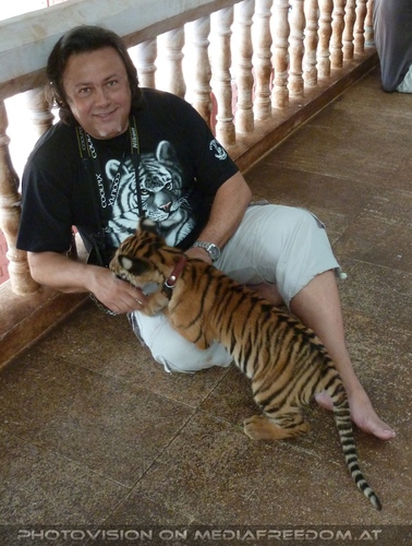 The B-Day of the Tigerman Pix 010