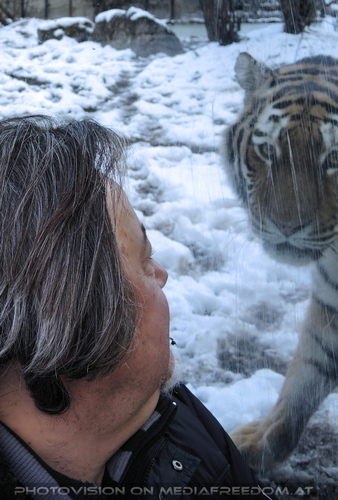 Sibirische Tiger 12: Charly Swoboda