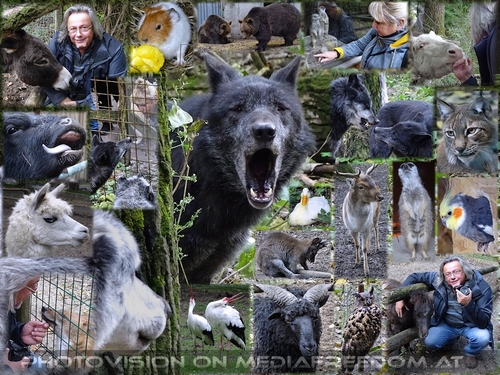 Tiere erleben - Erholung finden