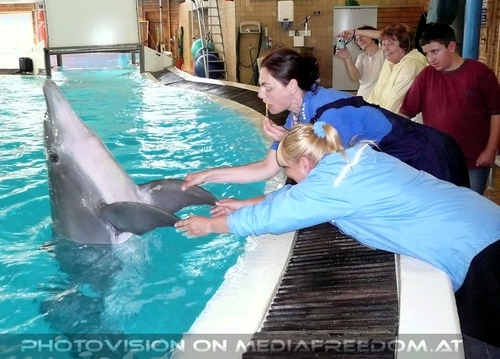 Die Zukunft hei�t DelphinLagune 14