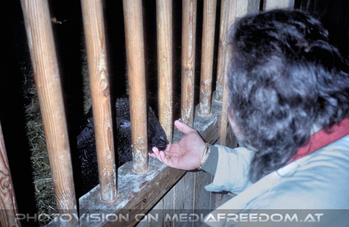 Tiroler Hof Stallung: Charly Swoboda