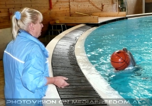 Die Zukunft hei�t DelphinLagune 22