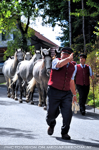 1. Station - Gasthof Wiendl 10