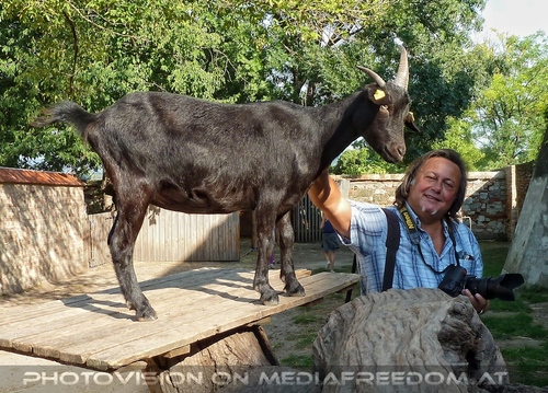 Im Schlosspark 021: Charly Swoboda