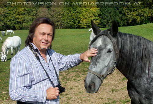 Lipizzaner and friend