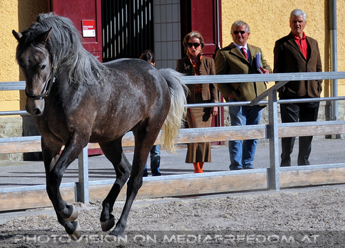 Lipizzaner Heimat 62: Elisabeth G�rtler,Max Dobretsberger