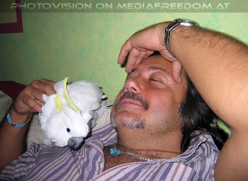 Blue-eyed lullaby 30