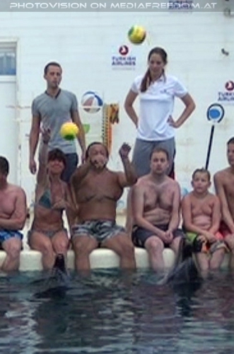 Swim with Dolphins 37