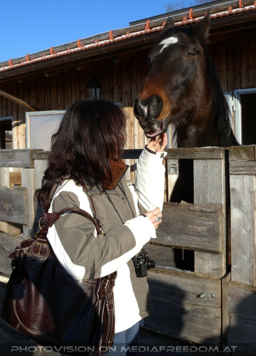 Im Paradies f�r Tiere 11