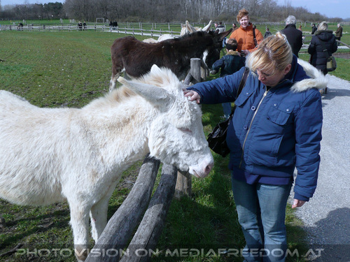 Osterstimmung 17: Gabriele P.