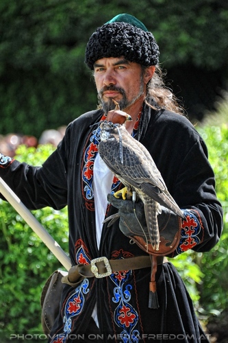 Greifvogel Vorf�hrung 04