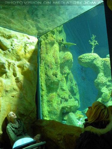 Gabriele P. - Sichtbar