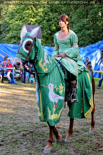 Ritterturnier zu Pferde 45