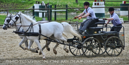 Die Pr�sentation 17