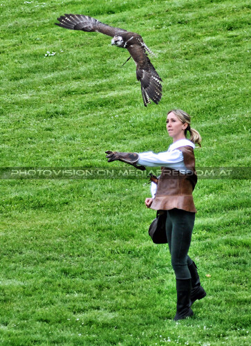 Historische Falknerei 08