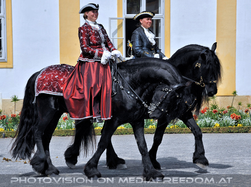 Der Umzug 19: Moments in Black