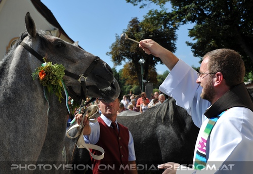 Pferde Segnung in Maria Lankowitz 14