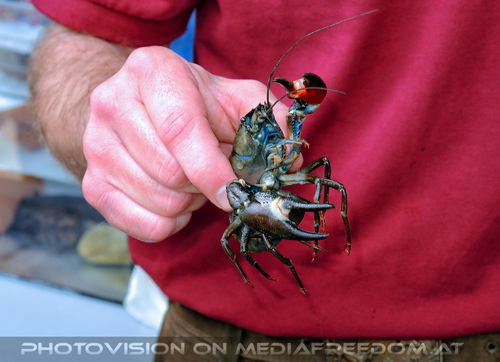 Rund um Mensch und Tier 16