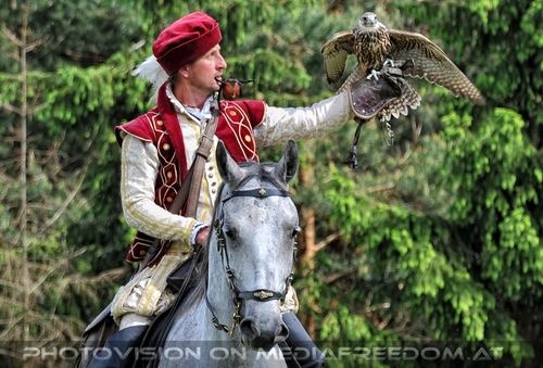 Greifvogel Vorf�hrung 29: Vladimir Garaj