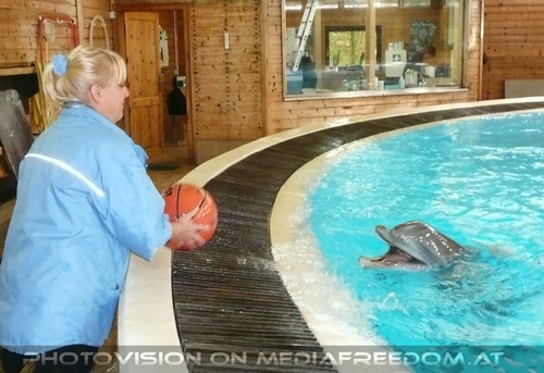 Die Zukunft hei�t DelphinLagune 24