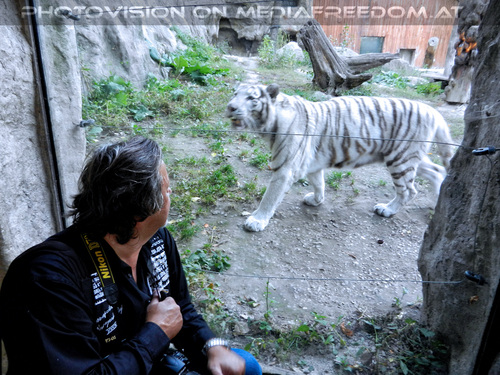 Wei�e Tiger 19: Charly Swoboda