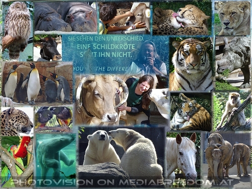 Sie sehen den Unterschied...