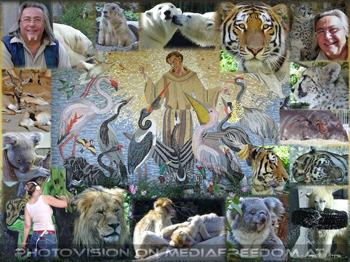 Schutzpatron der Tiere