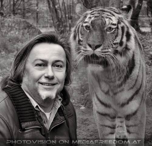 Sibirischer Tiger 02: Charly Swoboda