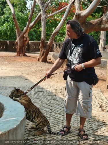 The B-Day of the Tigerman Pix 061