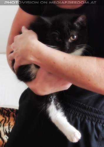 Ebony and Eva-ry 01 - Die Ankunft