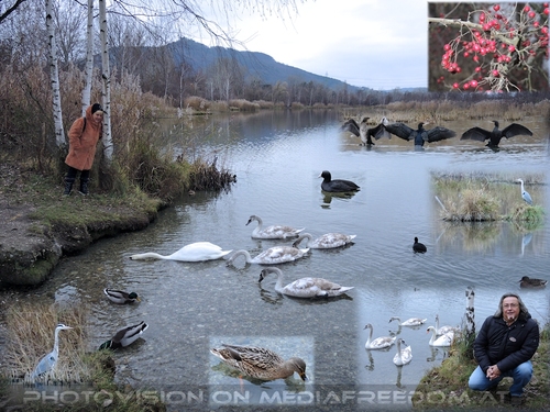 Wasservogelparadies: Gabriele P., Charly Swoboda